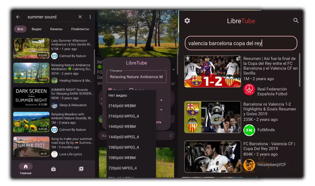 LibreTube для Android